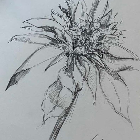 Unlock Your Artistic Potential: The Essential Guide to Daily Sketching Practices for Artists