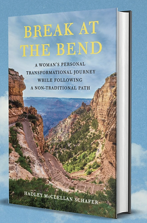 book cover reveal.png