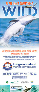 KI Marine Adventures, SA - 6 foot banner