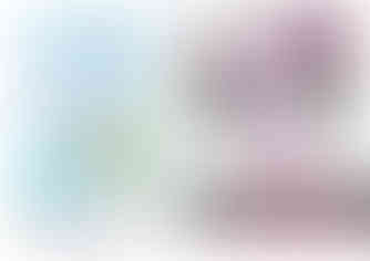 Front and Back Cover of Offical Program