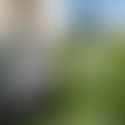 Why Subsidizing 2G Ethanol Saves India Billions in Health Costs