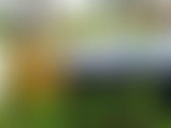 The Case for Carbon Credits for 1G Ethanol in India