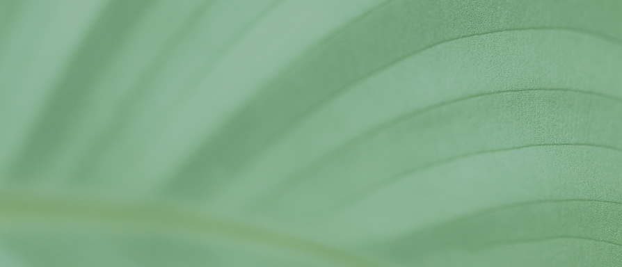 Headerbeelden Zeeuwse Oase7.png