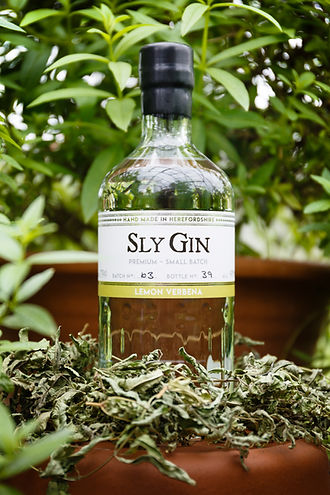 Haven Distillery - 31 July 2019-5236.jpg