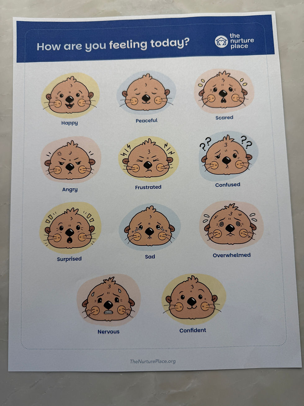 Thumbnail: Laminated Feelings Sheets
