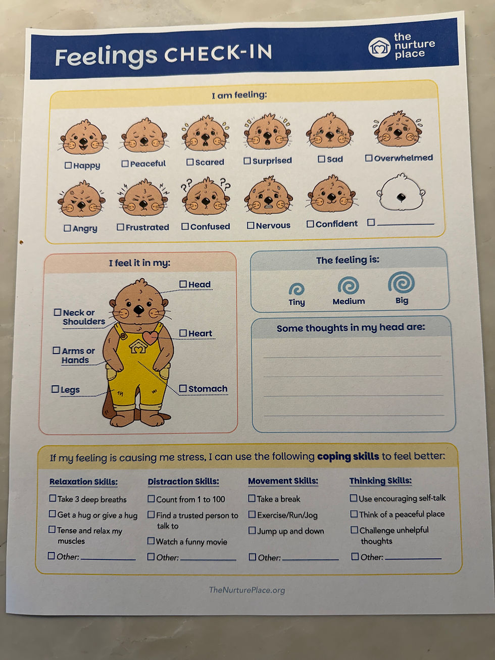 Thumbnail: Laminated Feelings Sheets