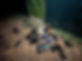 IMG_2806.jpeg