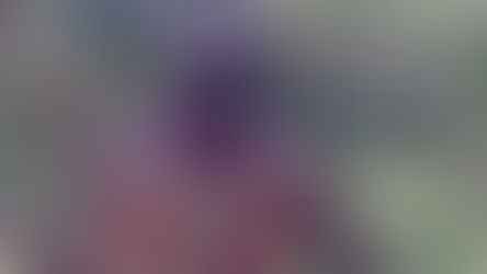 Oliveseed—More to the Name Than Meets the Eye
