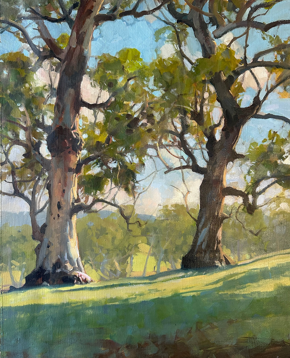 Winter Morning Lobethel South Australia