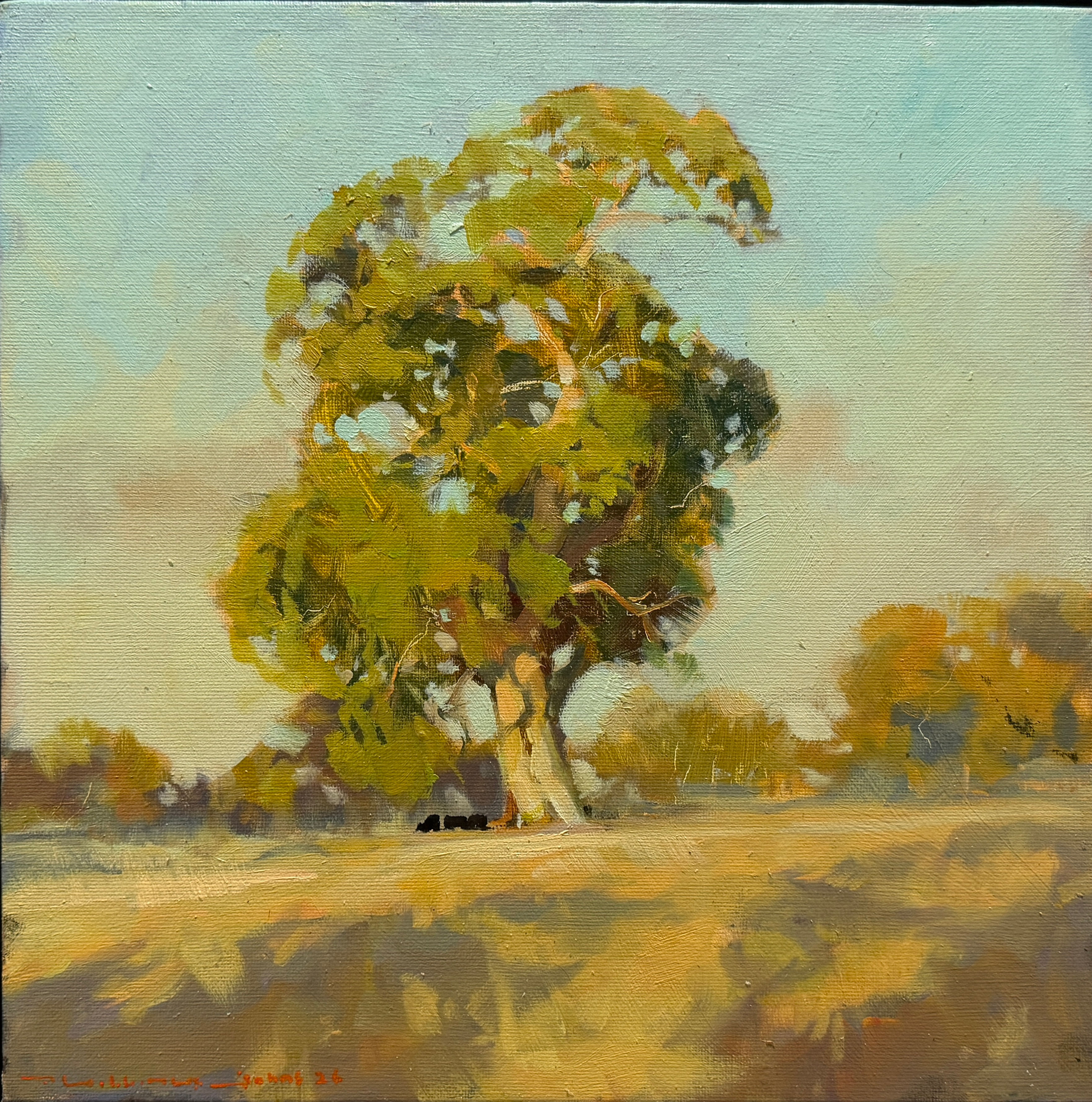 Basking Gum
