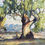 Thumbnail: A View of The Flinders Ranges,Water  Colour
