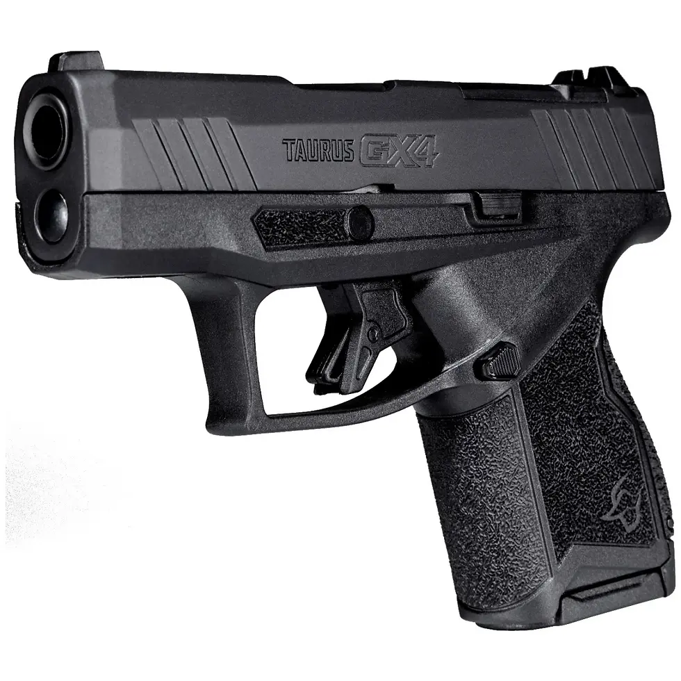 Thumbnail: Taurus GX4 T.O.R.O 9mm