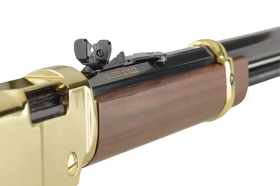 Thumbnail: Henry H004 22LR