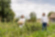 Cantelaudette_Apiculture_3934_edited.jpg