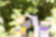 Cantelaudette_Apiculture_4110_edited.jpg