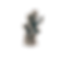 Ghoul