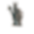 Thumbnail: Skeleton