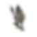 Skeleton