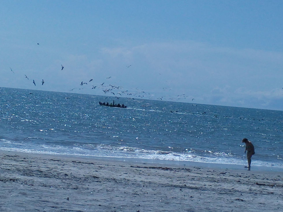 Riu_Playa_Blanca_Sand_and_Surf4_Panama_2