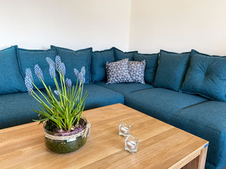 Wohnzimmer_Sofa-min.jpeg