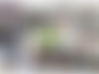 ShigaPlexIM Annual Meeting 2022