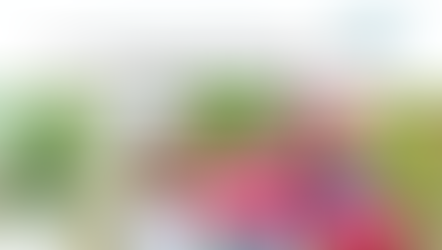 New hope for mothers and babies: Spotlight on the ADVANCE‑VAC4PM placental malaria vaccine development efforts