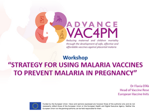Multistakeholder workshop explores strategies for malaria vaccine use in pregnancy