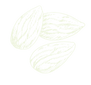 Copy of Copy of allseeing coffee (6).png