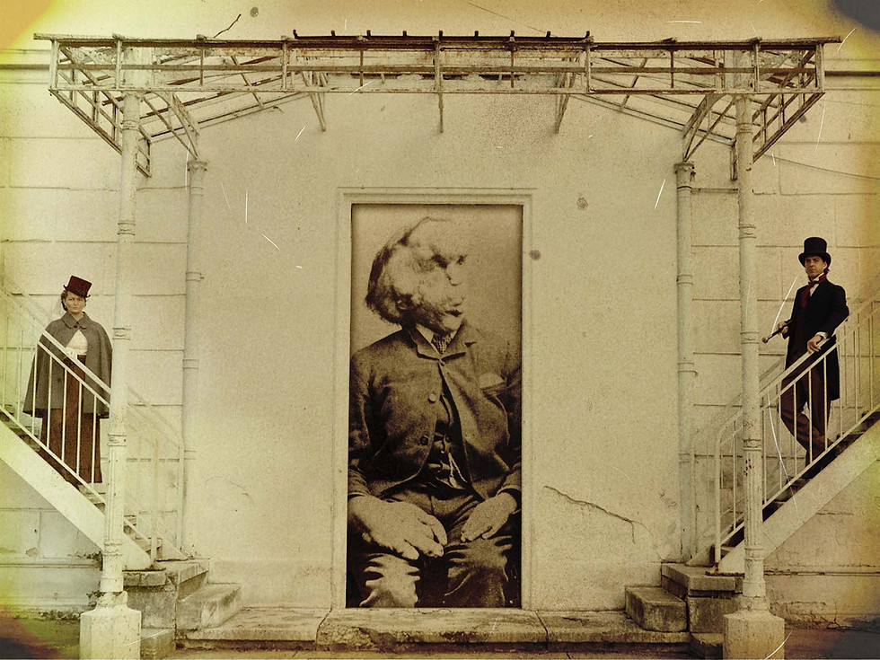 Miniature : Elephant Man