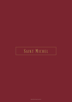 ilha pura_novobairroilhapura_Saint_Michel (1).jpg