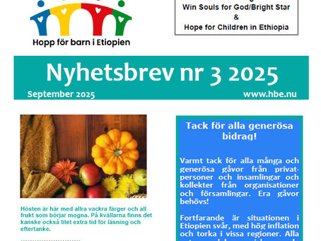 Nyhetsbrev 2025 nr 3
