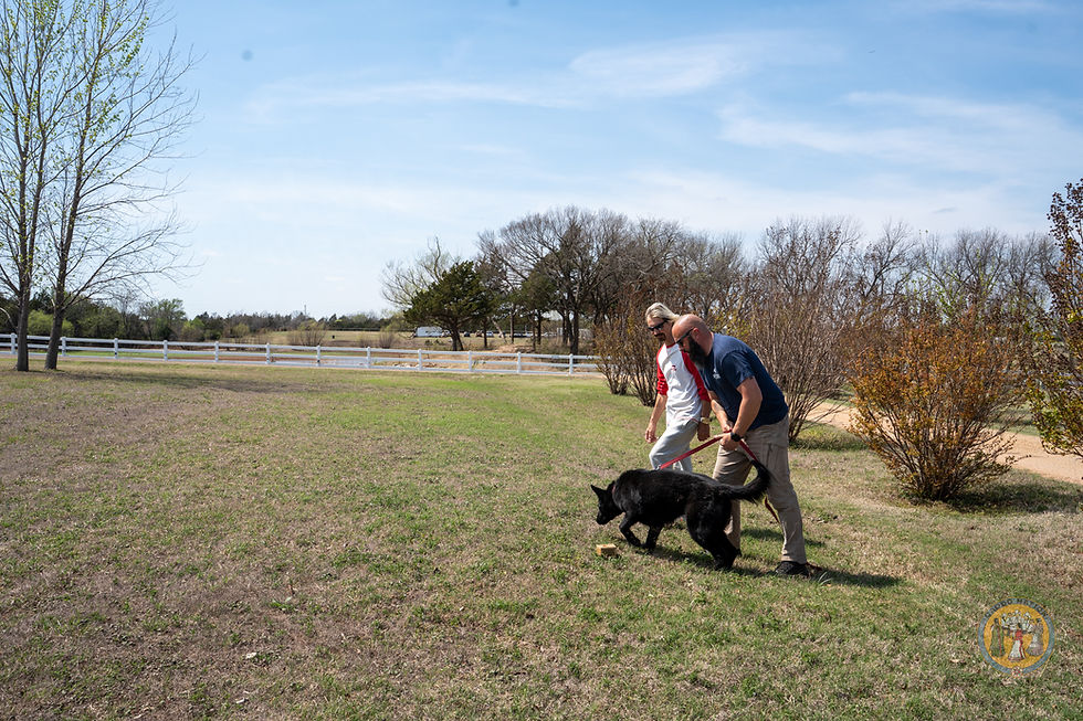 Scott Anderson, Matt Zehfuss & Hettie