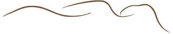 USE95BE3EF4-6EFB-4AD1-BF97-96E42_edited.png