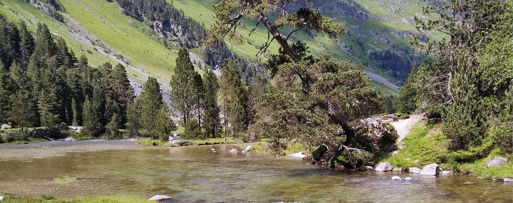 Rivière montagne.jpg