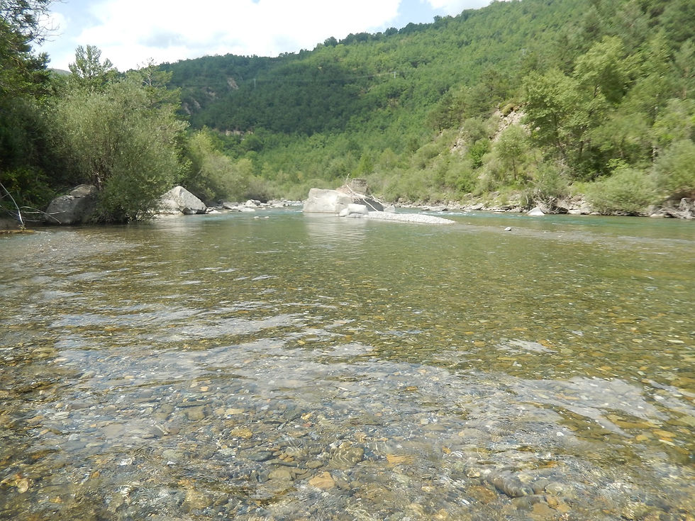 Petite rivière de montagne