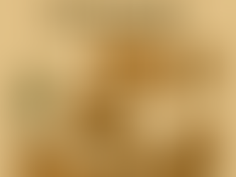 Sustainable Office Interiors – Designing Workplaces for a Greener Future