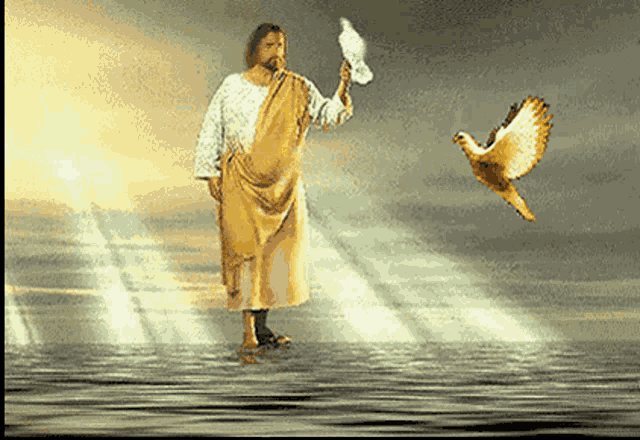 jesus-dove.gif