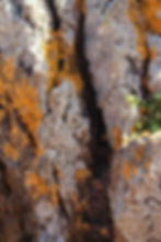 Madeira Island