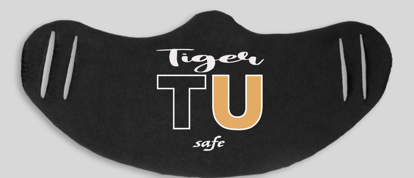 Towson College/Team mask