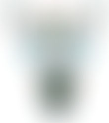 Launch of Native American Jewelry Line