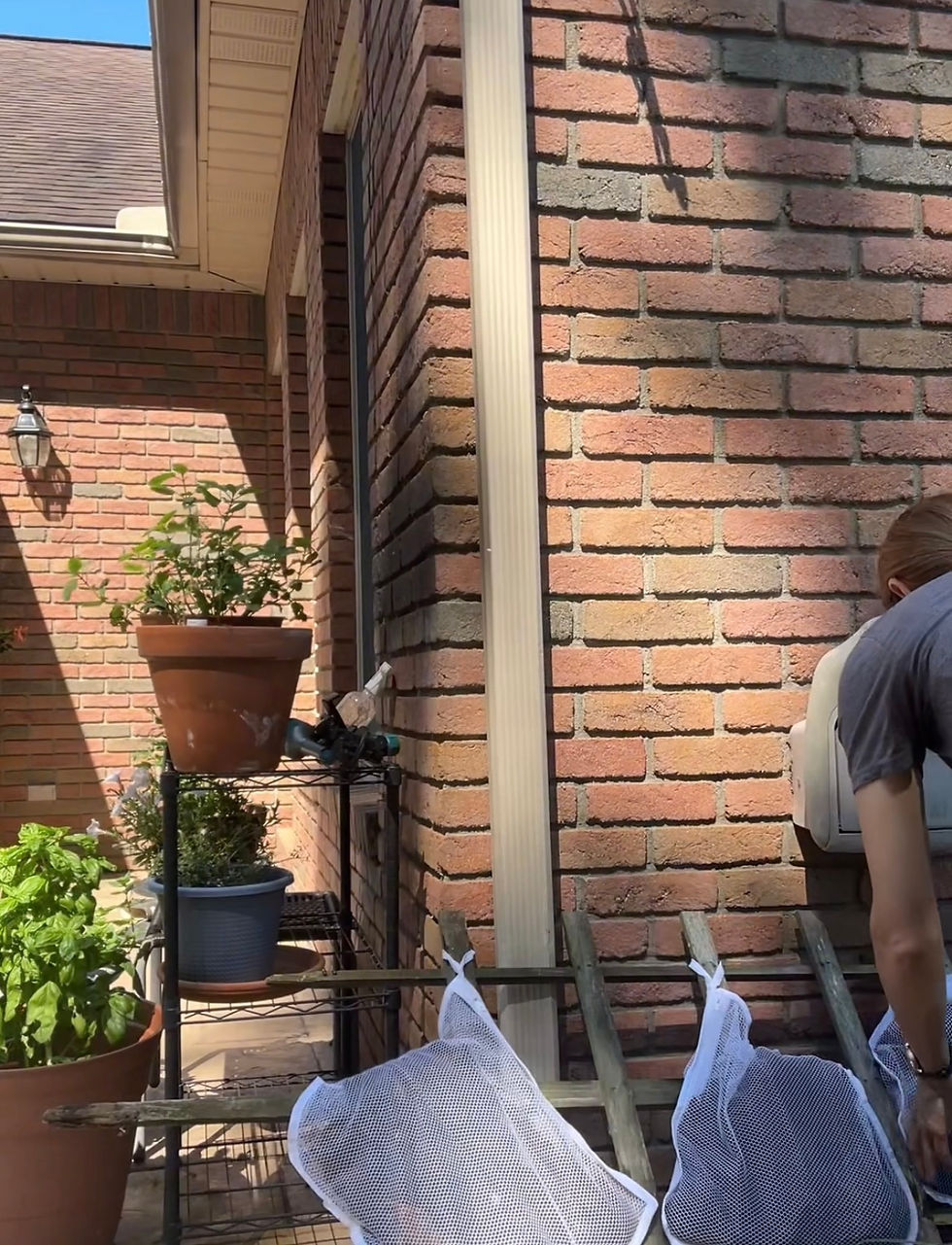 Person tending to plants on a sunny porch. Brick wall, potted plants, and white mesh bags visible. Calm atmosphere with natural light.