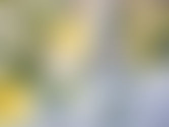 Quelles couleurs choisir pour un mariage ?