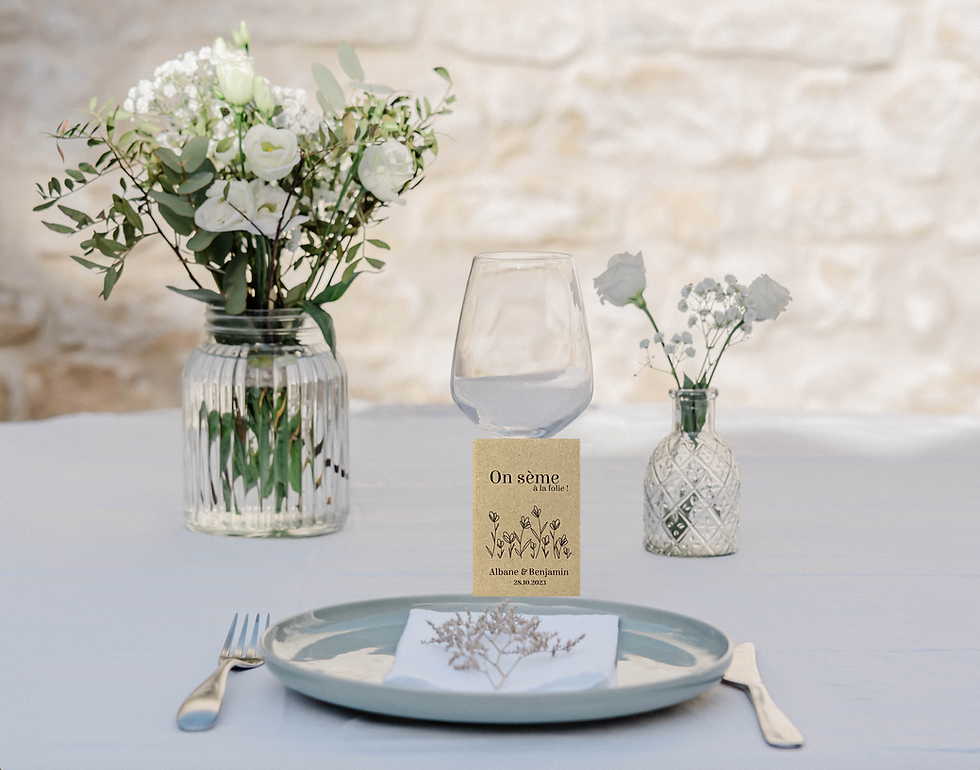 Miniature : sachet graine a planter