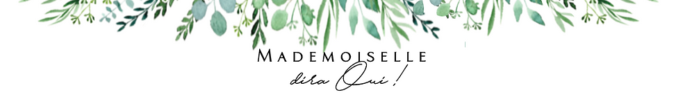 Entete du site Mademoiselle dira Oui