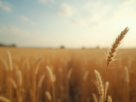 Mastering the Essentials of Property Development