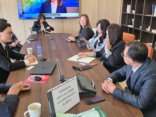 Empowering Enterprises Through Expert Investment Consultation in Mongolia