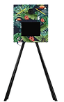 photo_1-removebg-preview.png