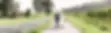 Denibes.jpg.webp