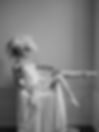 RamonaCasaulta_TheModernMuse_01.jpg