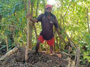 Haitian Farmers Transforming Their Land and Their Futures